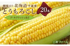 2025年夏発送 とうもろこし 20本セット【土居ファーム】