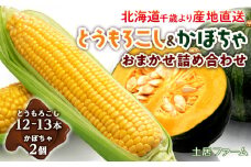 2025年夏発送 とうもろこし＆かぼちゃ おまかせ 詰め合わせセット【土居ファーム】