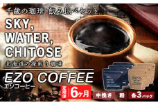 【定期便 6カ月】千歳の珈琲 飲み比べセット 合計600ｇ