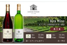 ワイン 【数量限定】 ヴィンテージ 750mlx6本 セット 飲み比べ お酒 アルコール ギフト 箱 ワイナリー 赤ワイン 白ワイン 辛口 ピノノワール 2023 ケルナー 2023 北海道