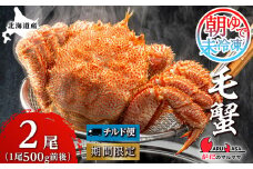 北海道産【朝ゆで】毛ガニ（500g前後）2尾 期間限定！＜かにのマルマサ＞ かに 毛がに カニ 千歳 北海道 海鮮