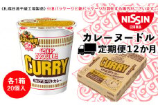 【定期便12か月】日清 カレーヌ－ドル★1箱（20食入）