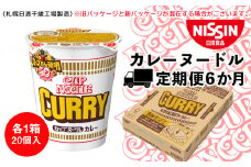 【定期便6か月】日清 カレーヌ－ドル★1箱（20食入）