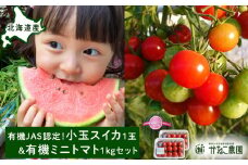 【2025年8月中旬より発送】有機JAS認定！小玉スイカ１玉＆有機ミニトマト500ｇ×2【かねこ農園】