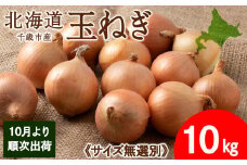 玉ねぎ 10kg 無選別サイズ 北海道 千歳市産 甘い たまねぎ 野菜 冷蔵 タマネギ 【假屋フードブリッジ】