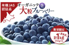 【2025年夏発送】ブルーベリー 数量限定 大粒 有機 無農薬 冷蔵 オーガニック 250g 4パック 1kg 千歳市産 【ベリーファーム】