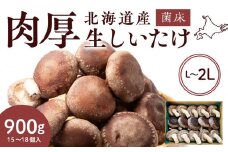 菌床 生しいたけ 900g 大きい 肉厚 シイタケ 椎茸 生椎茸 生シイタケ 千歳 北海道 《 あしだファーム 》