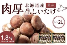 菌床 生しいたけ 900g×2 大きい 肉厚 シイタケ 椎茸 生椎茸 生シイタケ 千歳 北海道 《 あしだファーム 》