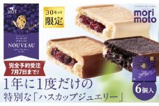 【数量限定30セット：7月7日まで】ハスカップジュエリー ・ヌーボー 6個入 《 北海道 千歳市 もりもと 》 お菓子 菓子 ハスカップ 千歳 ギフト 詰め合わせ 食べ比べ