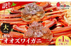北海道産【 朝ゆで 】訳ありオオズワイガニ 1.0kg詰 ＜かにのマルマサ＞道産品 オオズワイ ズワイガニ ずわい蟹 カニ 蟹 規格外品 不揃い 訳アリ 訳有り