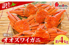 北海道産【 朝ゆで 】訳ありオオズワイガニ 4.0kg詰 ＜かにのマルマサ＞道産品 オオズワイ ズワイガニ ずわい蟹 カニ 蟹 規格外品 不揃い 訳アリ 訳有り