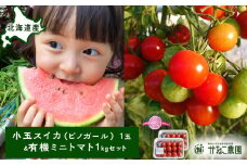 【2025年8月中旬より発送】小玉スイカ１玉＆有機ミニトマト500ｇ×2【かねこ農園】