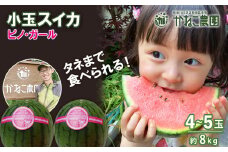 【2025年8月中旬より発送】　小玉スイカ「ピノガール」8㎏（4～5玉）セット【かねこ農園】
