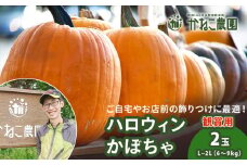 【2025年9月末頃より発送】　ハロウィンかぼちゃ 2玉セット 【かねこ農園】