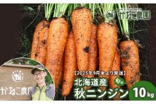 【2025年9月末より発送】北海道産 旬の秋ニンジン 10㎏ 【かねこ農園】