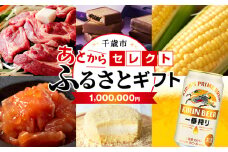 あとからセレクト 【ふるさとギフト】《1,000,000円分》