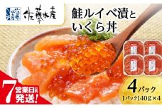 【7営業日以内発送】 ＜佐藤水産＞ 鮭ルイベ漬いくら丼　140g×4（560g）