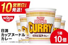日清 カレーヌードル10食 ラーメン 麺 即席麺 麺類 ラーメン カップ麺 インスタントインスタント 麺類 カップラーメン