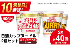 日清ヌードル2種セット カップヌードル・カレーヌードル各20食 ラーメン 麺 即席麺 麺類 カップ麺 インスタント カップラーメン