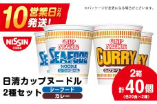 日清ヌードル2種セット シーフードヌードル・カレーヌードル各20食 ラーメン 麺 即席麺 麺類 カップ麺 インスタント カップラーメン