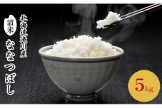 北海道滝川産 清米（ななつぼし）5kg｜北海道 滝川市 お米 米 白米 ご飯 ななつぼし ナナツボシ