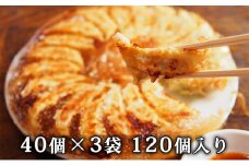 北海道産豚肉の餃子 120個｜北海道 滝川市 ギョウザ 餃子 ぎょうざ 中華 惣菜 お惣菜 おかず