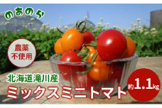 【栽培期間中農薬不使用】北海道滝川市産ミックスミニトマト 約1.1kg