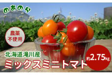 【栽培期間中農薬不使用】北海道滝川市産ミックスミニトマト 約2.75kg
