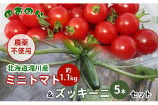 【栽培期間中農薬不使用】北海道滝川市産ミニトマト 約1.1kg&ズッキーニ5本セット