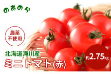 【栽培期間中農薬不使用】北海道滝川市産ミニトマト(赤) 約2.75kg