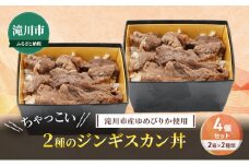 滝川市産ゆめぴりか使用 ＼ちゃっこい／ 2種のジンギスカン丼 4個セット 2箱×2種類 冷凍 小林精肉店 アイマトン 北海道 滝川市
