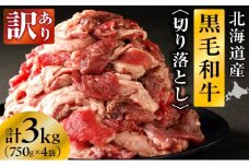 長谷川精肉店 訳あり 北海道産 黒毛和牛 牛すじ 切り落とし 750g×4袋 計3kg 和牛 北海道 滝川市 【配達不可：離島】