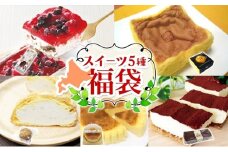 北海道スイーツの福袋 5種 各1個 カステラ チーズケーキ アイスケーキ ティラミス クリームシュー 滝川市