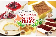 北海道スイーツの福袋 5種 各1個 カステラ チーズケーキ アイスケーキ ティラミス クリームシュー 滝川市