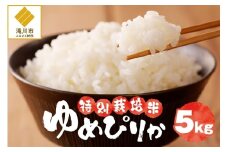 【先行予約】令和7年産米 北海道滝川産 特別栽培ゆめぴりか 5kg ※10月中旬・新米からお届け｜北海道 滝川市 米 お米 白米 ご飯 ゆめぴりか ユメピリカ 特別栽培米 特別栽培 