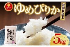 【先行予約】令和7年産米 北海道滝川産 特別栽培ゆめぴりか 5kg ※10月中旬・新米からお届け｜北海道 滝川市 米 お米 白米 ご飯 ゆめぴりか ユメピリカ 特別栽培米 特別栽培 