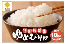 【先行予約】令和7年産米 北海道滝川産 特別栽培ゆめぴりか 10kg(5kg×2袋)  ※10月中旬・新米からお届け｜北海道 滝川市 米 お米 白米 ご飯 ゆめぴりか ユメピリカ 特別栽培米 特別栽培 新米