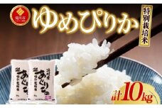 【先行予約】令和7年産米 北海道滝川産 特別栽培ゆめぴりか 10kg(5kg×2袋)  ※10月中旬・新米からお届け｜北海道 滝川市 米 お米 白米 ご飯 ゆめぴりか ユメピリカ 特別栽培米 特別栽培 新米
