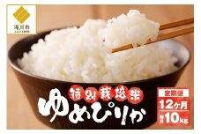 【先行予約】令和7年産米 北海道滝川産 特別栽培ゆめぴりか 10kg 12ヵ月連続 ※10月中旬・新米からお届け｜北海道 滝川市 米 お米 白米 精米 ゆめぴりか ユメピリカ 特別栽培 定期便 連続お届け