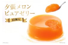 夕張メロンピュアゼリー 15個入 [ホリ 北海道 砂川市 12260372] フルーツ ゼリー レビューキャンペーン