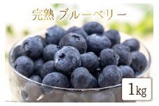 完熟 ブルーベリー 生果実 1kg [三谷果樹園 北海道 砂川市 [12260532] 果物 フルーツ 国産 レビューキャンペーン