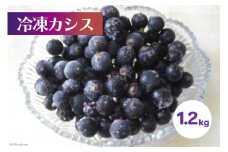 冷凍 カシス 1.2kg [ノーザン・ベリーズ 北海道 砂川市 12260393] 果物 フルーツ 国産 自家栽培 レビューキャンペーン