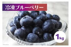 冷凍 ブルーベリー 1kg [ノーザン・ベリーズ 北海道 砂川市 12260395] 果物 フルーツ 国産 自家栽培 レビューキャンペーン