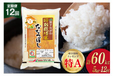 12回 定期便 JA新すながわ産 特栽米ななつぼし 5kg×12回 総計60kg [ホクレン商事 北海道 砂川市 12260800] 定期 お米 コメ 白米 ごはん ご飯 国産 レビューキャンペーン