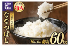 6回 定期便 JA新すながわ産 ななつぼし 10kg×6回 総計60kg [ホクレン商事 北海道 砂川市 12260798] 定期 お米 コメ 白米 ごはん ご飯 国産 レビューキャンペーン