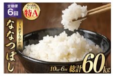 6回 定期便 JA新すながわ産 ななつぼし 10kg×6回 総計60kg [ホクレン商事 北海道 砂川市 12260798] 定期 お米 コメ 白米 ごはん ご飯 国産 レビューキャンペーン
