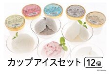 カップアイス12個セット [岩瀬牧場 北海道 砂川市 12260341] アイス イタリアン ジェラート 詰め合わせ レビューキャンペーン