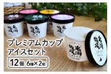 プレミアムカップアイス12個セット [岩瀬牧場 北海道 砂川市 12260340] アイス イタリアン ジェラート 詰め合わせ レビューキャンペーン