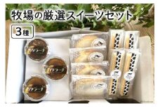 牧場の厳選スイーツセット 3種 計11個 [岩瀬牧場 北海道 砂川市 12260338] 菓子 お菓子 焼き菓子 スイーツ ロールケーキ チーズスティック カタラーナ レビューキャンペーン