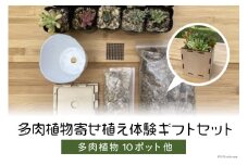 安心やすらぎ共和国 OASIS REPUBLIC -SUNAGAWA BASE- 片桐農園×空知単板工業 『多肉植物寄せ植え体験ギフトセット』 [オアリパ 北海道 砂川市 12260374] レビューキャンペーン